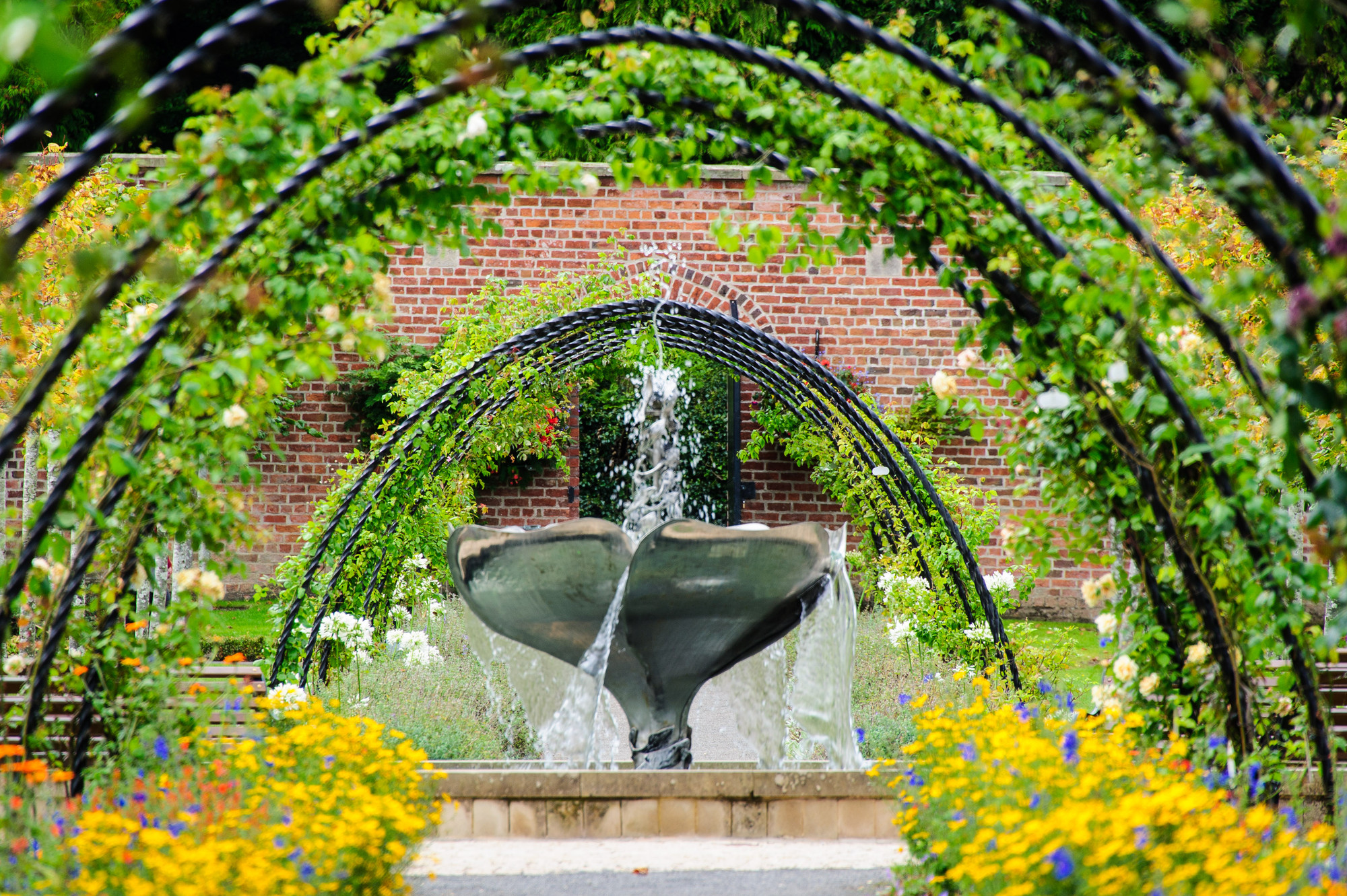 The Walled Garden AND Culture